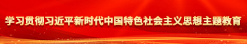 欧美成人操肥逼学习贯彻习近平新时代中国特色社会主义思想主题教育